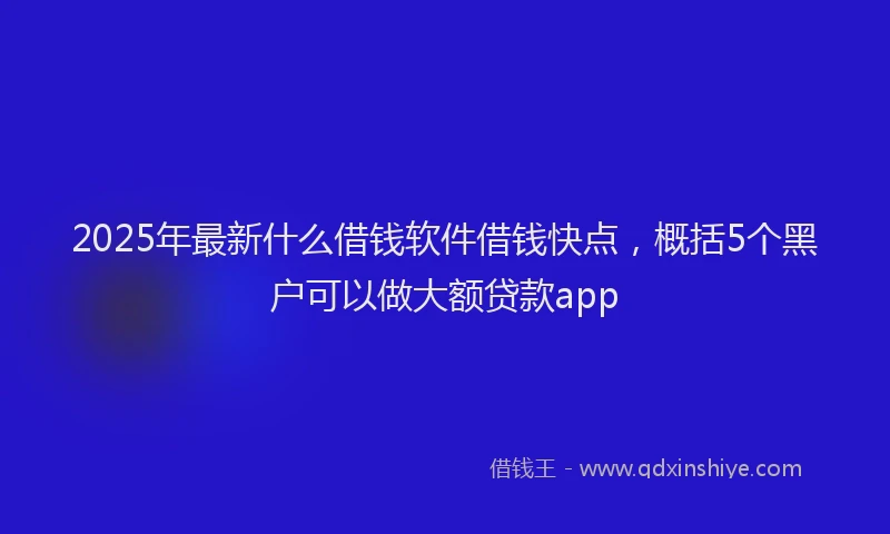 2025年最新什么借钱软件借钱快点，概括5个黑户可以做大额贷款app