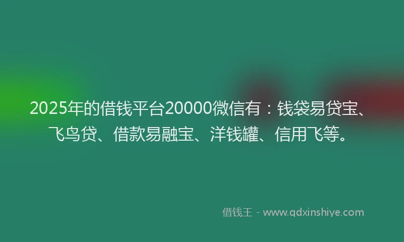 2025年的借钱平台20000微信有：钱袋易贷宝、飞鸟贷、借款易融宝、洋钱罐、信用飞等。