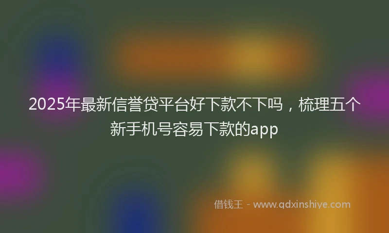 2025年最新信誉贷平台好下款不下吗，梳理五个新手机号容易下款的app