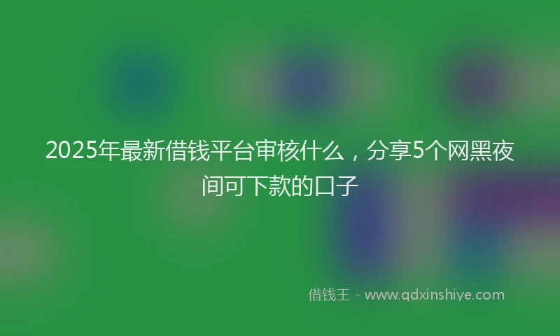 2025年最新借钱平台审核什么，分享5个网黑夜间可下款的口子
