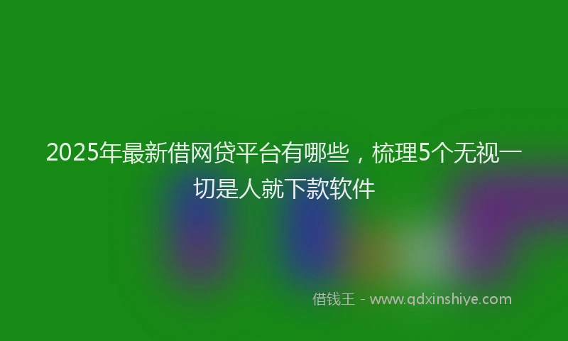 2025年最新借网贷平台有哪些，梳理5个无视一切是人就下款软件