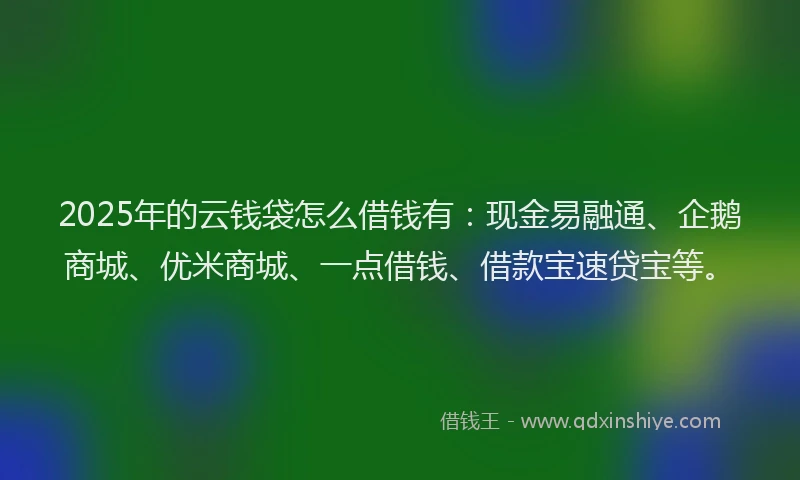 2025年的云钱袋怎么借钱有：现金易融通、企鹅商城、优米商城、一点借钱、借款宝速贷宝等。