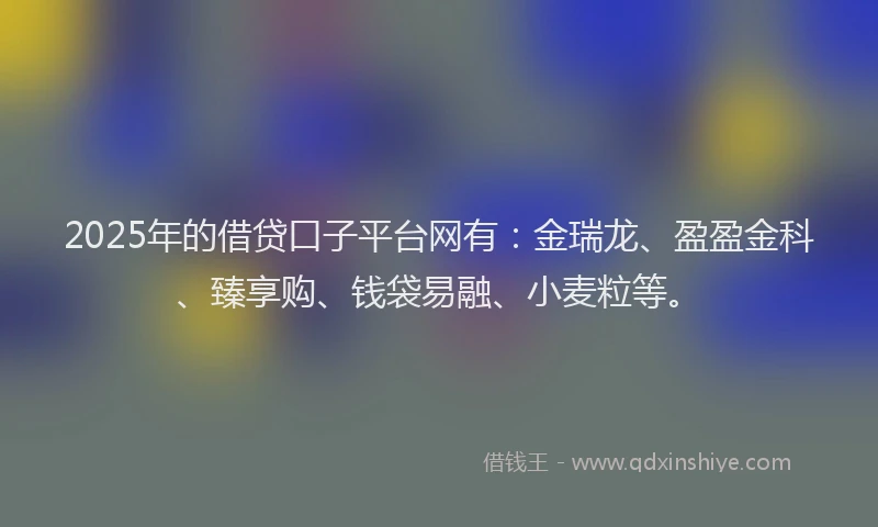 2025年的借贷口子平台网有：金瑞龙、盈盈金科、臻享购、钱袋易融、小麦粒等。