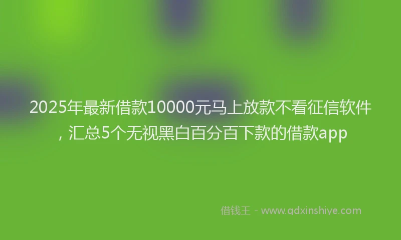 2025年最新借款10000元马上放款不看征信软件，汇总5个无视黑白百分百下款的借款app