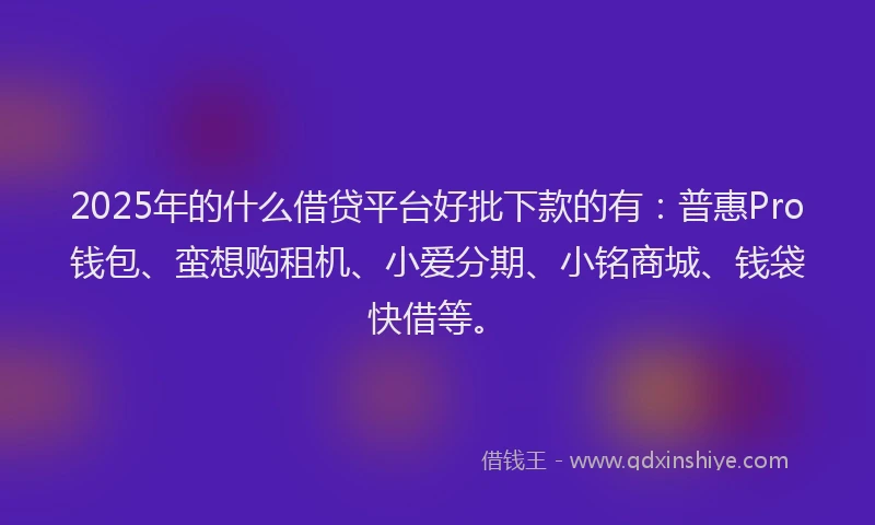 2025年的什么借贷平台好批下款的有：普惠Pro钱包、蛮想购租机、小爱分期、小铭商城、钱袋快借等。