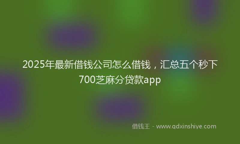 2025年最新借钱公司怎么借钱，汇总五个秒下700芝麻分贷款app