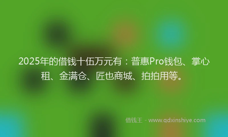 2025年的借钱十伍万元有：普惠Pro钱包、掌心租、金满仓、匠也商城、拍拍用等。