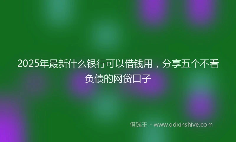2025年最新什么银行可以借钱用，分享五个不看负债的网贷口子