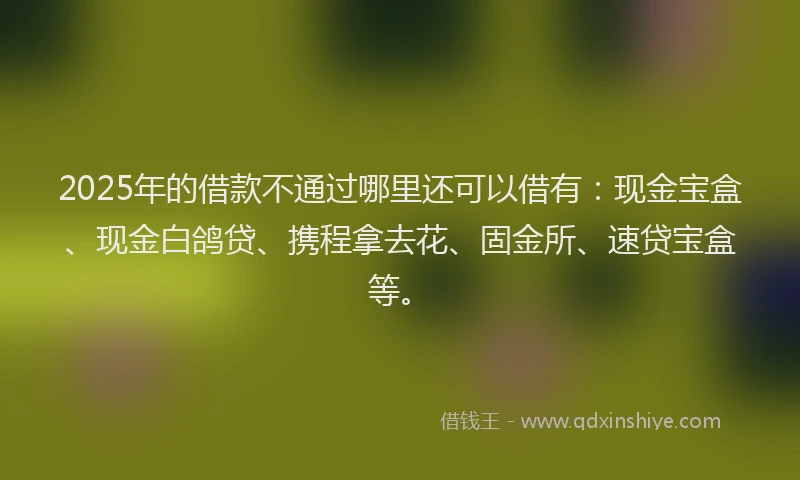 2025年的借款不通过哪里还可以借有：现金宝盒、现金白鸽贷、携程拿去花、固金所、速贷宝盒等。