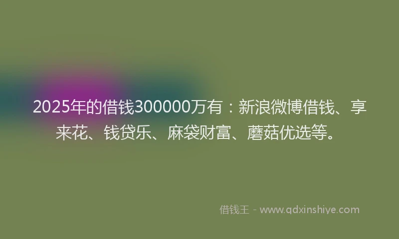 2025年的借钱300000万有：新浪微博借钱、享来花、钱贷乐、麻袋财富、蘑菇优选等。