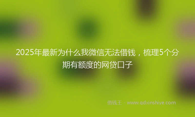 2025年最新为什么我微信无法借钱，梳理5个分期有额度的网贷口子