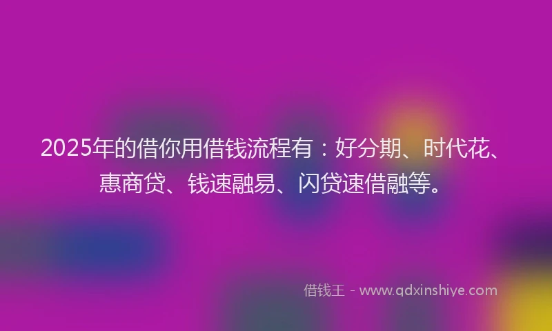 2025年的借你用借钱流程有：好分期、时代花、惠商贷、钱速融易、闪贷速借融等。