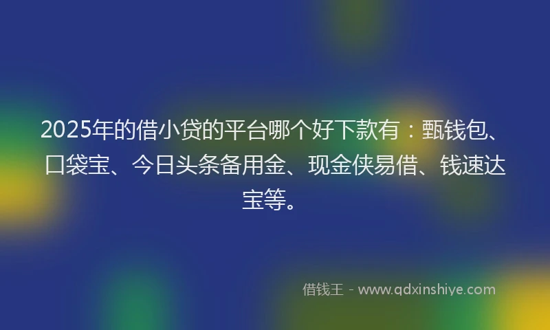 2025年的借小贷的平台哪个好下款有：甄钱包、口袋宝、今日头条备用金、现金侠易借、钱速达宝等。