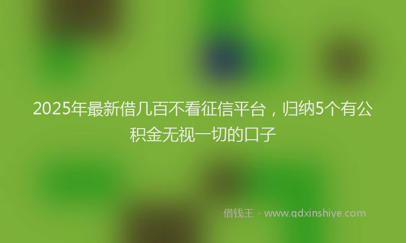 2025年最新借几百不看征信平台，归纳5个有公积金无视一切的口子
