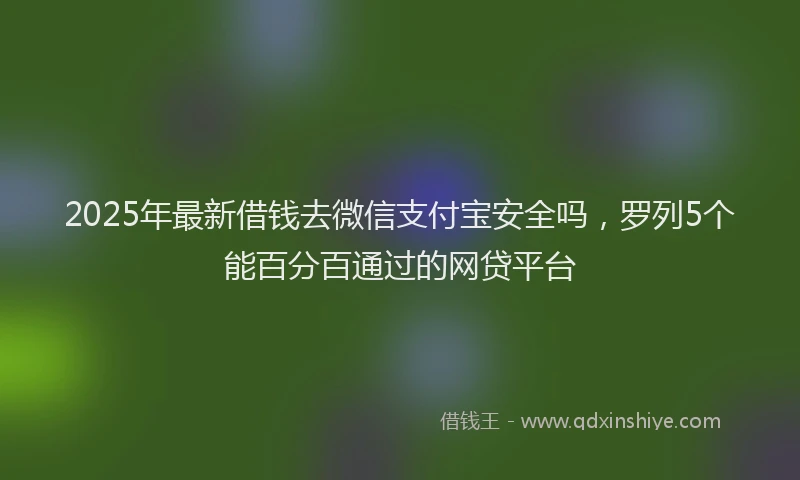 2025年最新借钱去微信支付宝安全吗，罗列5个能百分百通过的网贷平台