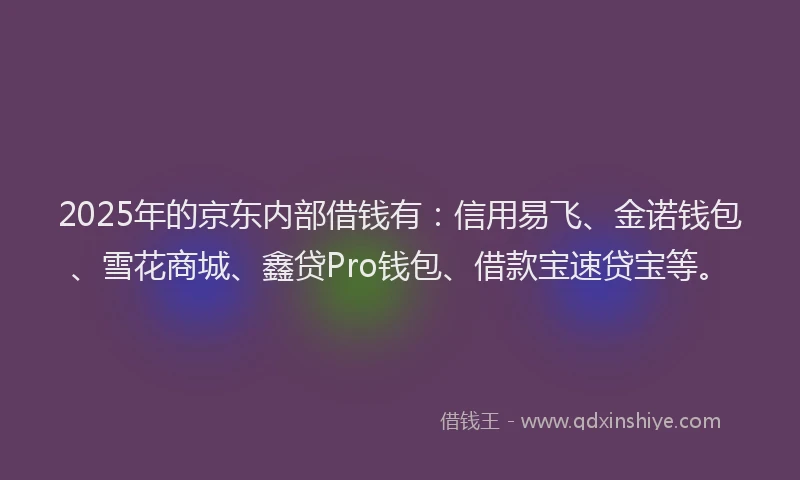 2025年的京东内部借钱有：信用易飞、金诺钱包、雪花商城、鑫贷Pro钱包、借款宝速贷宝等。