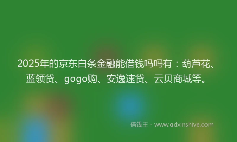 2025年的京东白条金融能借钱吗吗有：葫芦花、蓝领贷、gogo购、安逸速贷、云贝商城等。
