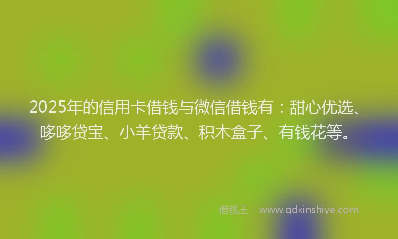 2025年的信用卡借钱与微信借钱有：甜心优选、哆哆贷宝、小羊贷款、积木盒子、有钱花等。
