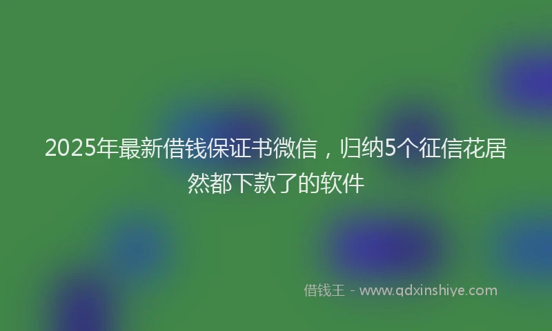 2025年最新借钱保证书微信，归纳5个征信花居然都下款了的软件