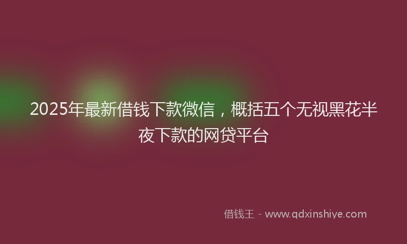2025年最新借钱下款微信，概括五个无视黑花半夜下款的网贷平台