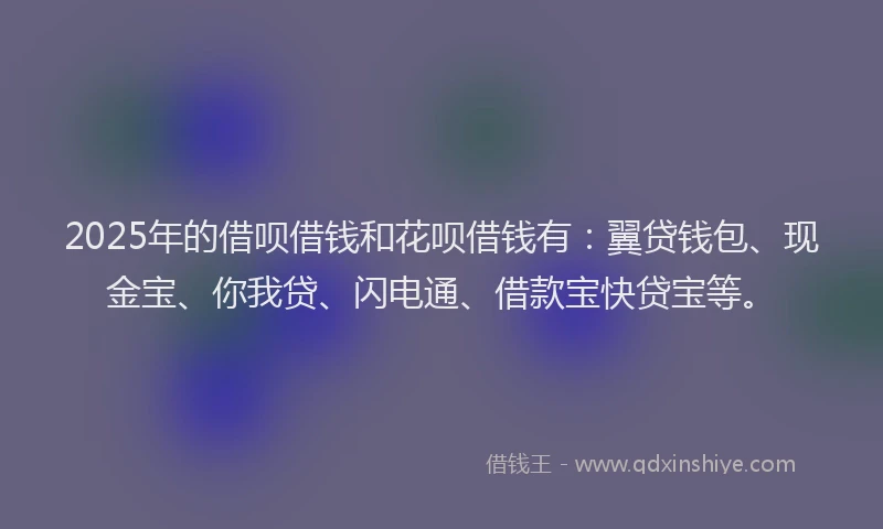 2025年的借呗借钱和花呗借钱有：翼贷钱包、现金宝、你我贷、闪电通、借款宝快贷宝等。