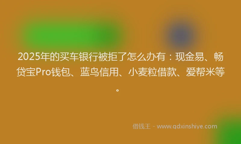 2025年的买车银行被拒了怎么办有：现金易、畅贷宝Pro钱包、蓝鸟信用、小麦粒借款、爱帮米等。
