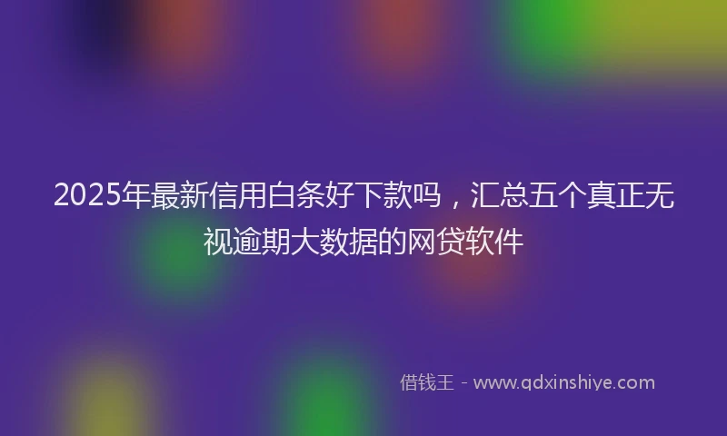 2025年最新信用白条好下款吗，汇总五个真正无视逾期大数据的网贷软件