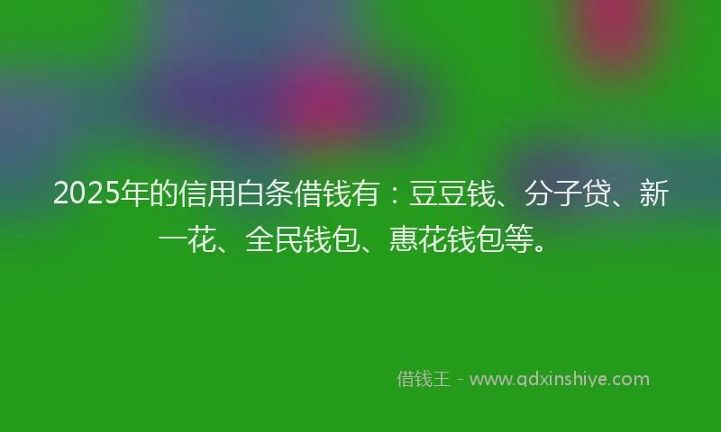 2025年的信用白条借钱有：豆豆钱、分子贷、新一花、全民钱包、惠花钱包等。