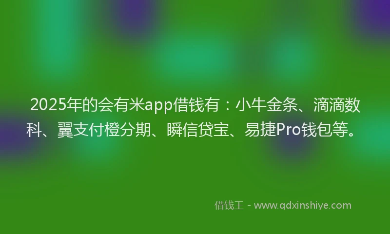 2025年的会有米app借钱有：小牛金条、滴滴数科、翼支付橙分期、瞬信贷宝、易捷Pro钱包等。