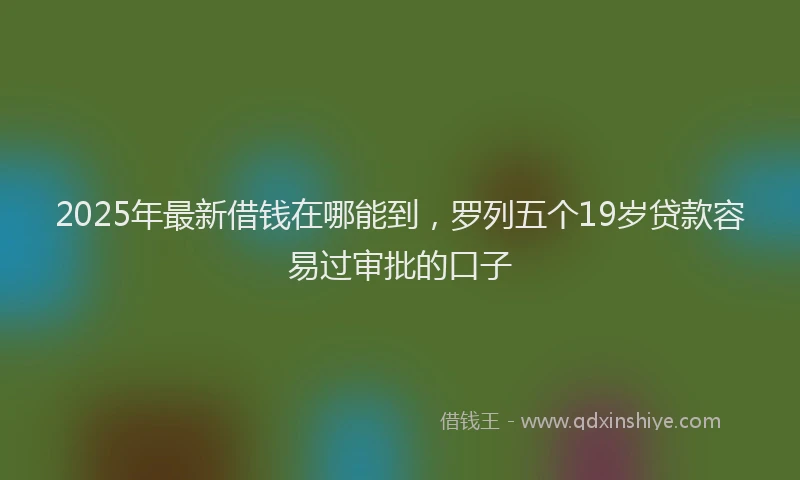 2025年最新借钱在哪能到，罗列五个19岁贷款容易过审批的口子