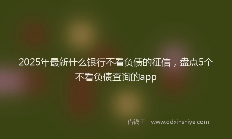 2025年最新什么银行不看负债的征信，盘点5个不看负债查询的app