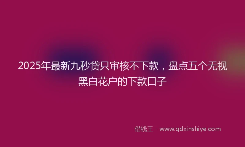 2025年最新九秒贷只审核不下款，盘点五个无视黑白花户的下款口子