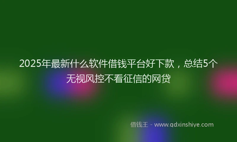 2025年最新什么软件借钱平台好下款，总结5个无视风控不看征信的网贷
