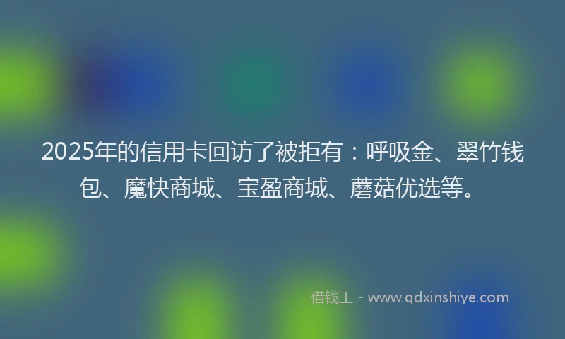 2025年的信用卡回访了被拒有：呼吸金、翠竹钱包、魔快商城、宝盈商城、蘑菇优选等。