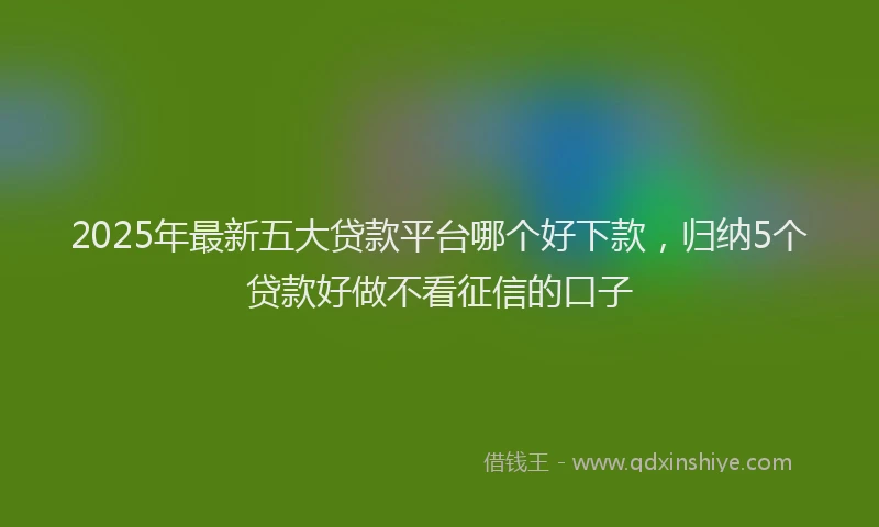 2025年最新五大贷款平台哪个好下款，归纳5个贷款好做不看征信的口子