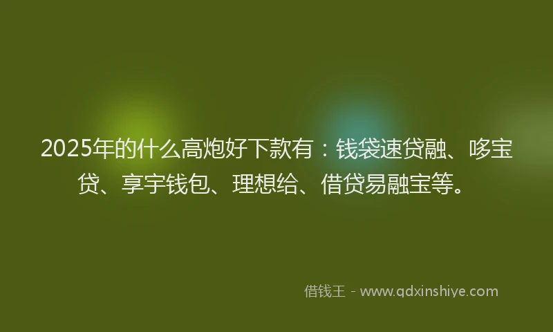 2025年的什么高炮好下款有：钱袋速贷融、哆宝贷、享宇钱包、理想给、借贷易融宝等。