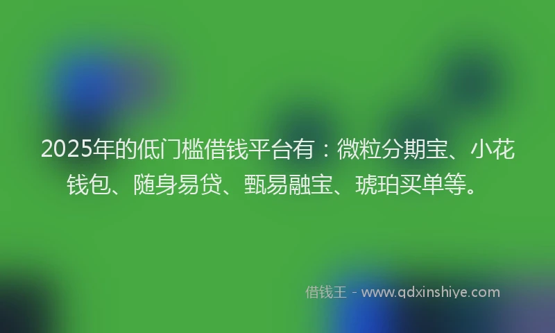 2025年的低门槛借钱平台有：微粒分期宝、小花钱包、随身易贷、甄易融宝、琥珀买单等。
