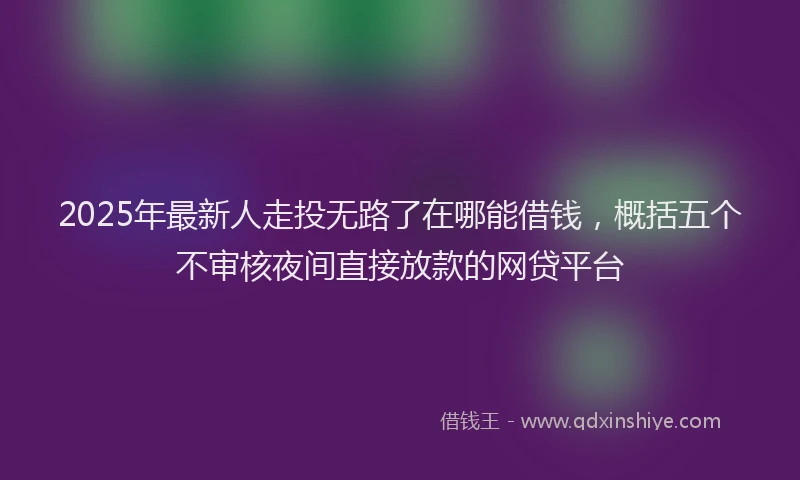 2025年最新人走投无路了在哪能借钱，概括五个不审核夜间直接放款的网贷平台
