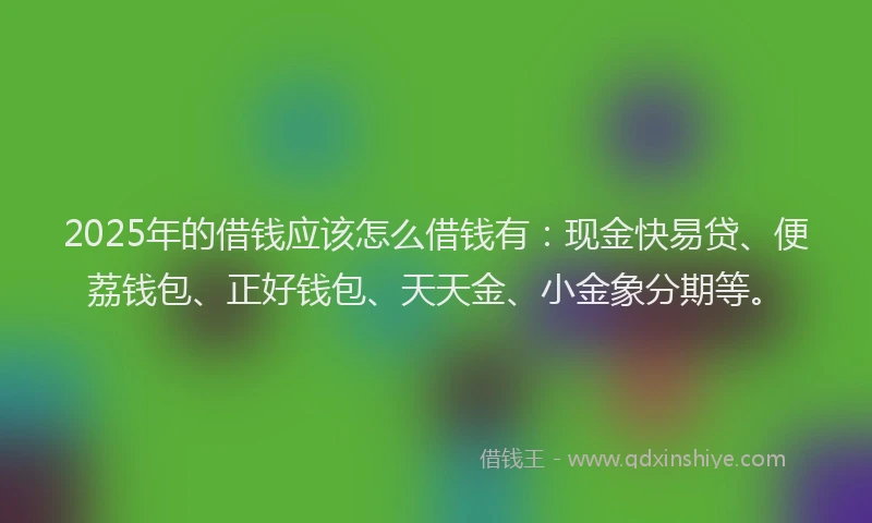 2025年的借钱应该怎么借钱有：现金快易贷、便荔钱包、正好钱包、天天金、小金象分期等。