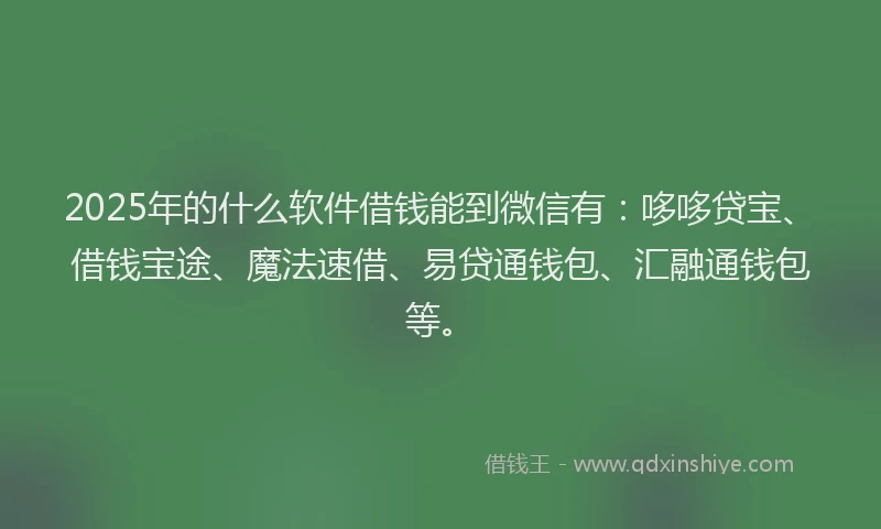 2025年的什么软件借钱能到微信有：哆哆贷宝、借钱宝途、魔法速借、易贷通钱包、汇融通钱包等。