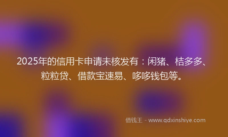 2025年的信用卡申请未核发有：闲猪、桔多多、粒粒贷、借款宝速易、哆哆钱包等。