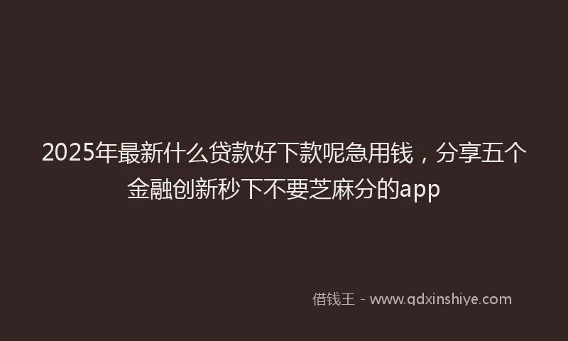 2025年最新什么贷款好下款呢急用钱，分享五个金融创新秒下不要芝麻分的app