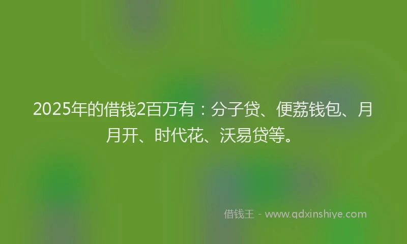 2025年的借钱2百万有：分子贷、便荔钱包、月月开、时代花、沃易贷等。