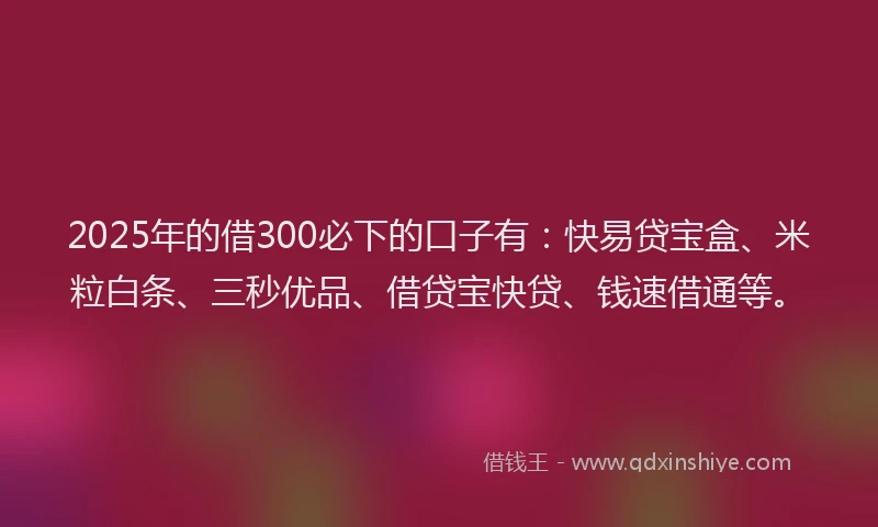 2025年的借300必下的口子有：快易贷宝盒、米粒白条、三秒优品、借贷宝快贷、钱速借通等。
