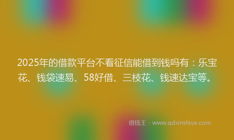 2025年的借款平台不看征信能借到钱吗有：乐宝花、钱袋速易、58好借、三枝花、钱速达宝等。