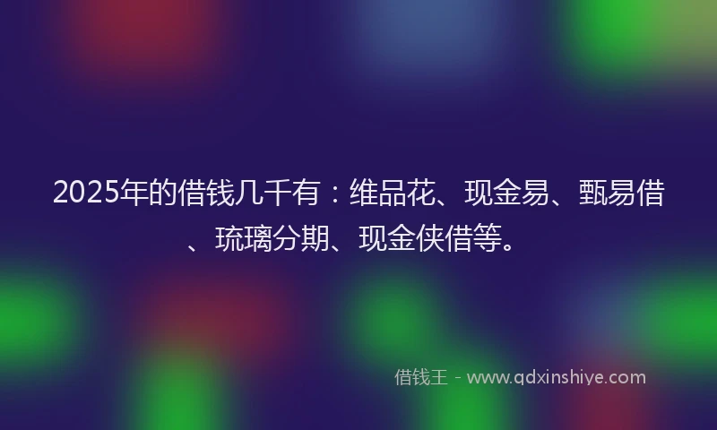 2025年的借钱几千有：维品花、现金易、甄易借、琉璃分期、现金侠借等。