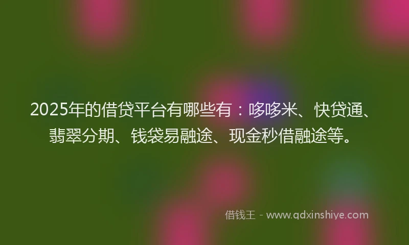 2025年的借贷平台有哪些有：哆哆米、快贷通、翡翠分期、钱袋易融途、现金秒借融途等。