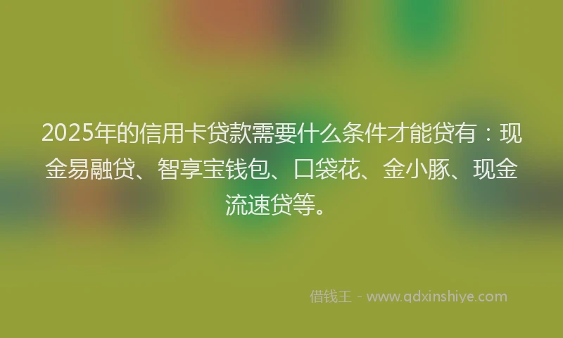 2025年的信用卡贷款需要什么条件才能贷有：现金易融贷、智享宝钱包、口袋花、金小豚、现金流速贷等。