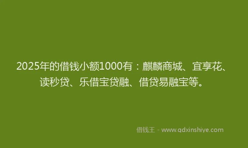 2025年的借钱小额1000有：麒麟商城、宜享花、读秒贷、乐借宝贷融、借贷易融宝等。