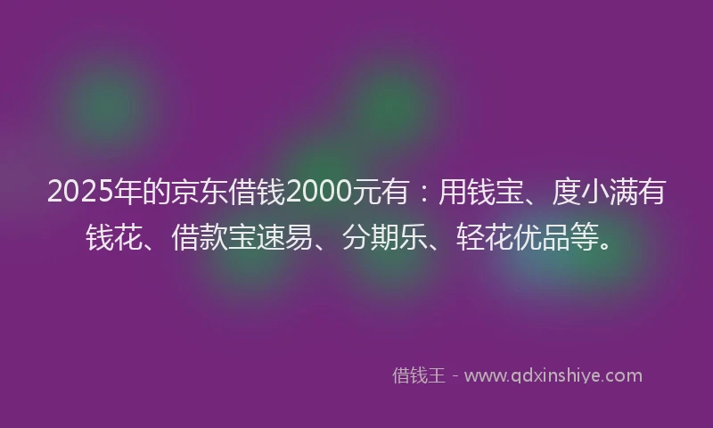 2025年的京东借钱2000元有：用钱宝、度小满有钱花、借款宝速易、分期乐、轻花优品等。